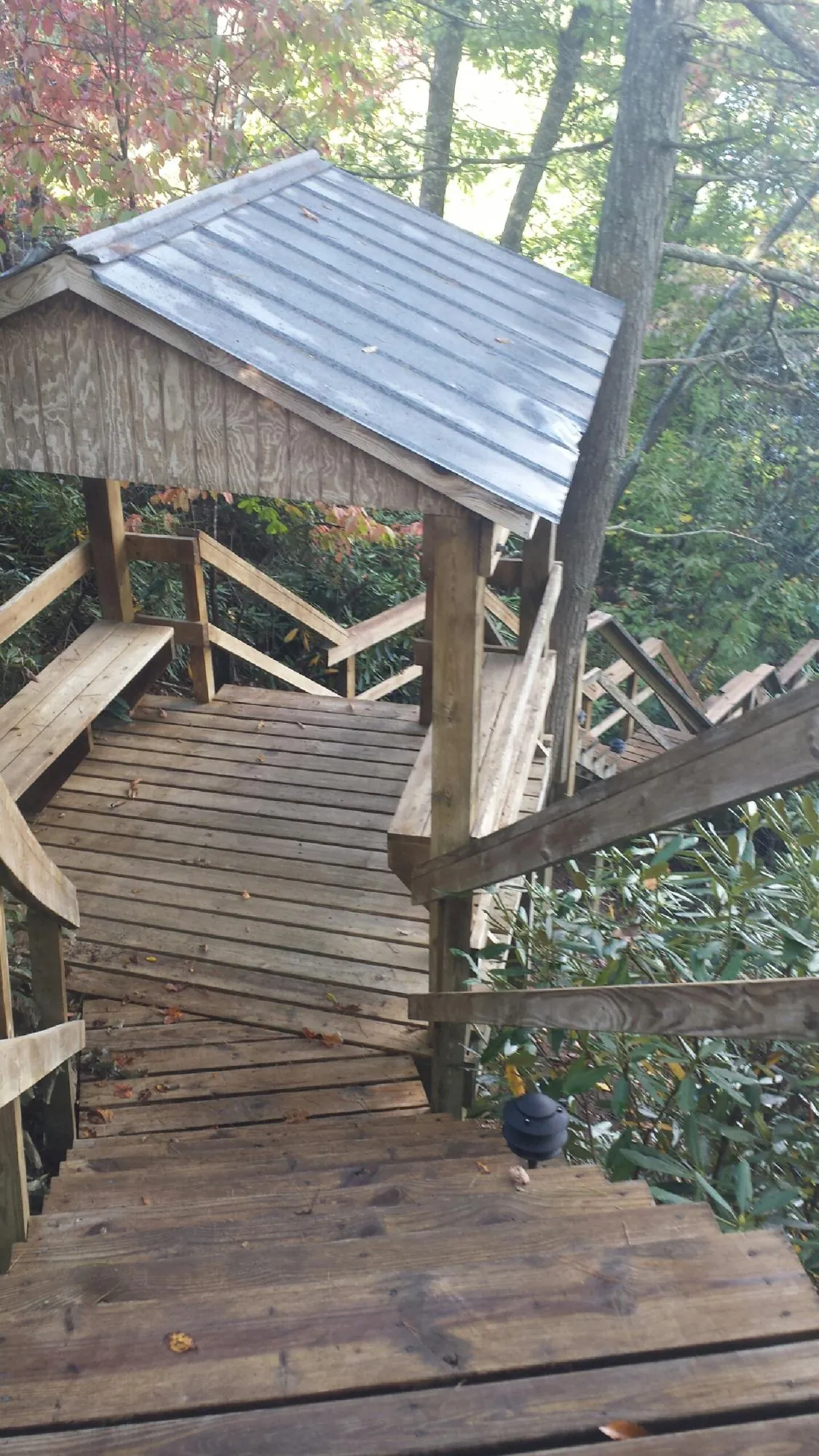Metal roofed shelter over wooden steps on a wooded walkway — Skylight Repair & Installation work by our crew in Cove City